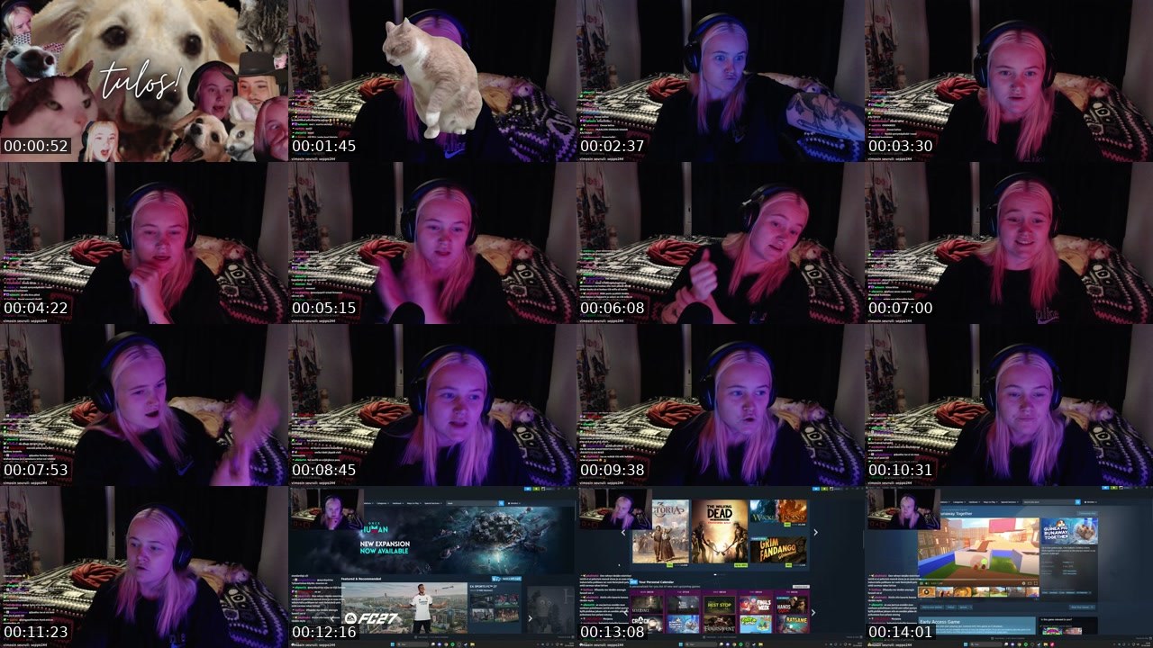 Contact-sheet preview of suhmuri's Twitch recording