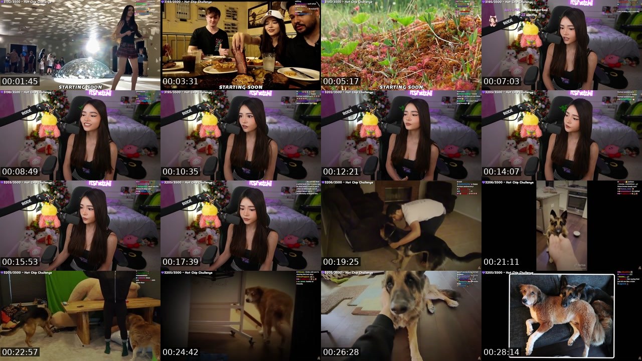 Contact-sheet preview of itsKatchii's Twitch recording