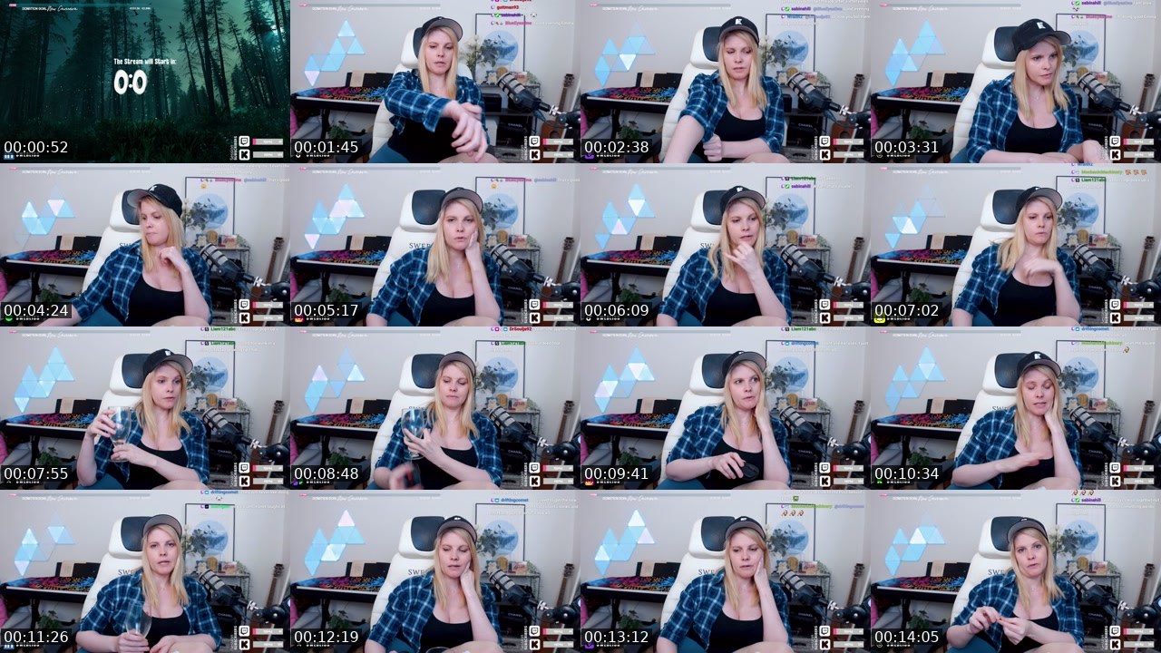 Contact-sheet preview of Swebliss's Twitch recording
