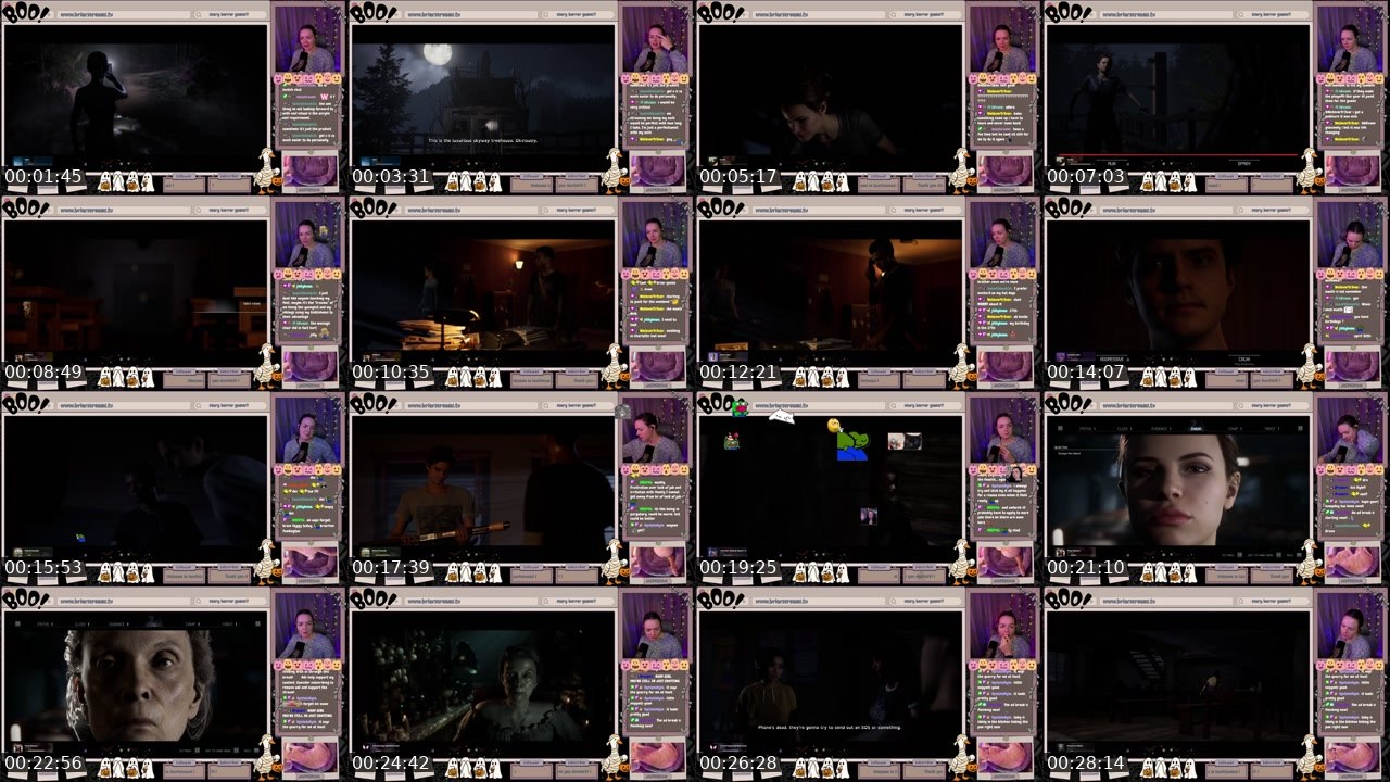 Contact-sheet preview of briarfeu1's Twitch recording