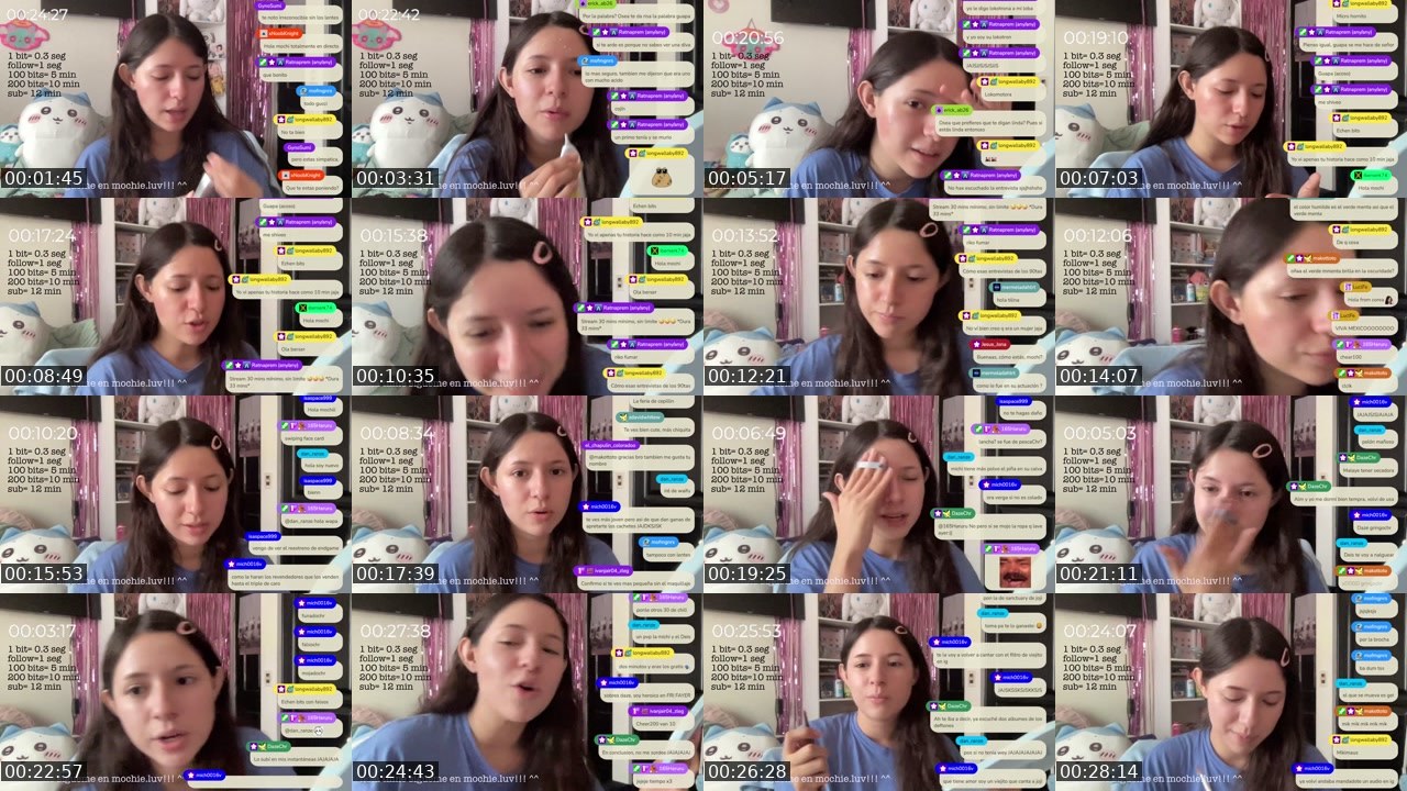 Contact-sheet preview of s0ftm0chiee's Twitch recording