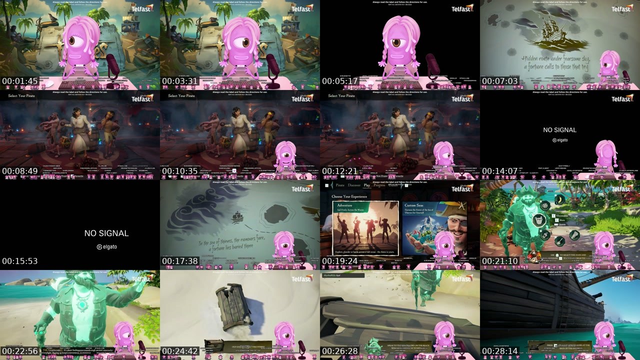 Contact-sheet preview of Aliythia's Twitch recording