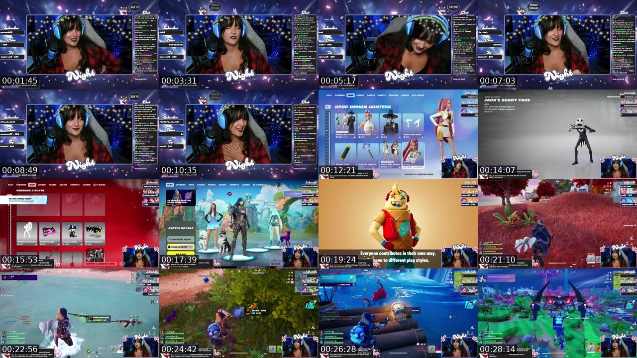 Contact-sheet preview of Nightwing490's Twitch recording