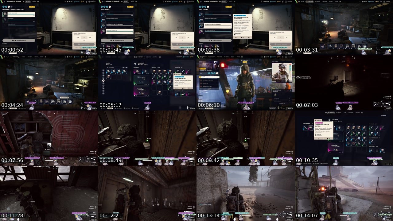 Contact-sheet preview of ElsBells29's Twitch recording