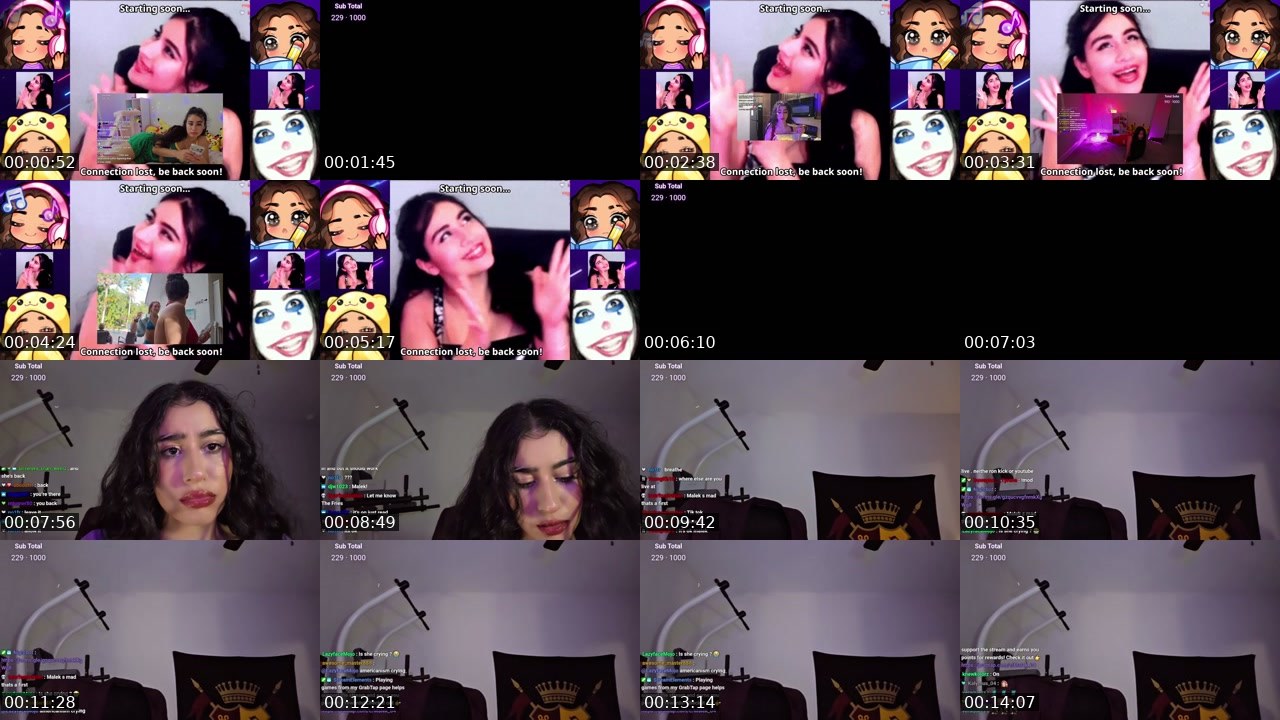Contact-sheet preview of Malek_04's Twitch recording