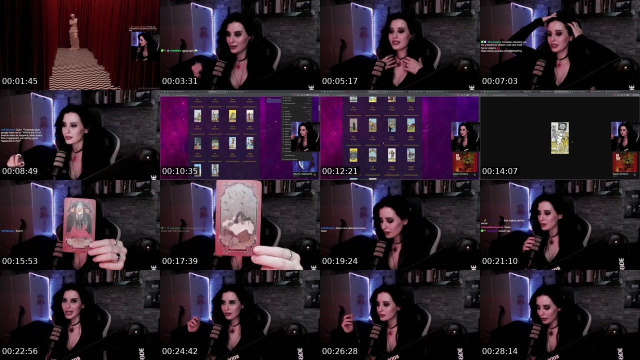 Contact-sheet preview of elisaprey's Twitch recording