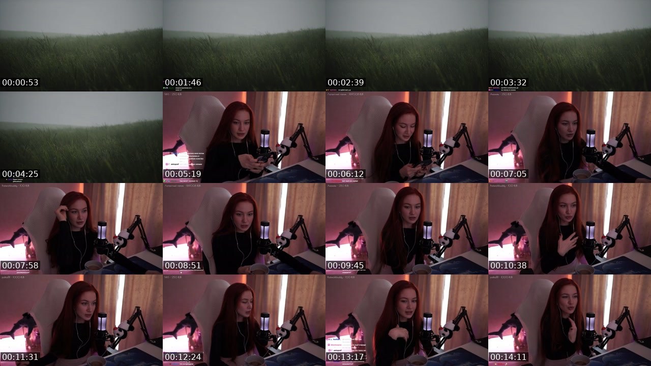 Contact-sheet preview of MissAlina23's Twitch recording