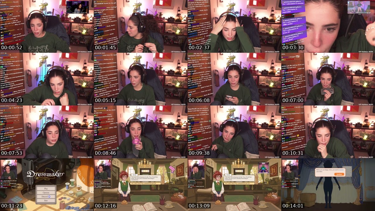 Contact-sheet preview of squidinkidink's Twitch recording