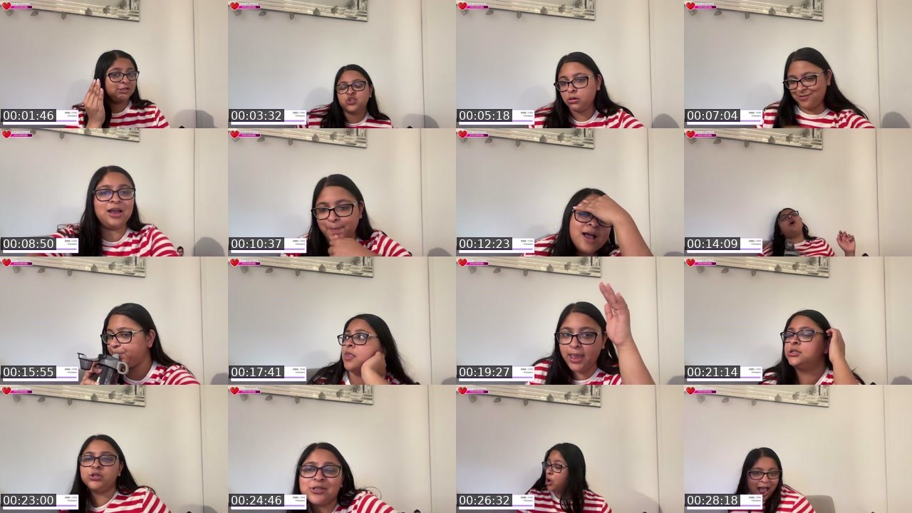 Contact-sheet preview of rasika__gupta's Twitch recording