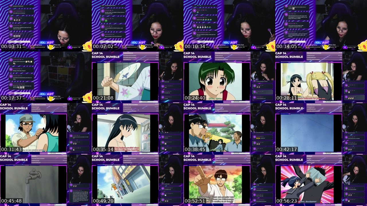 Contact-sheet preview of HoliSofi's Twitch recording
