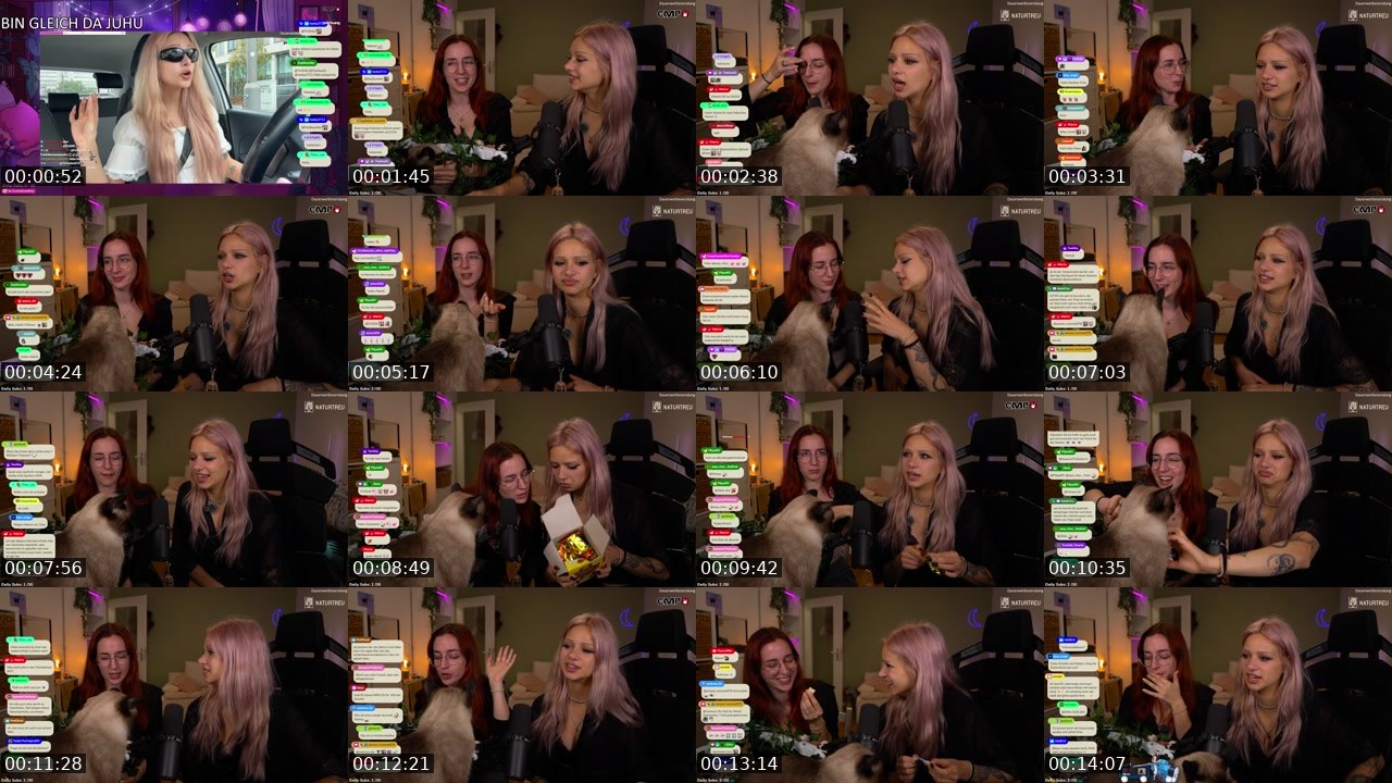 Contact-sheet preview of almostfeline's Twitch recording