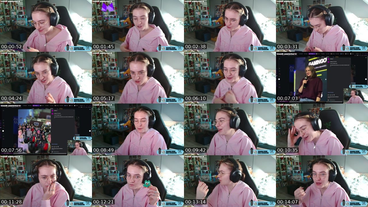 Contact-sheet preview of Menders_7's Twitch recording