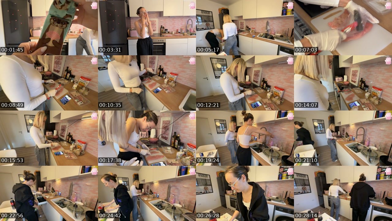 Contact-sheet preview of LeaKlein's Twitch recording