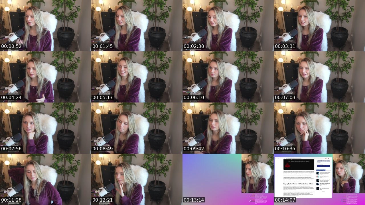 Contact-sheet preview of bashbunni's Twitch recording