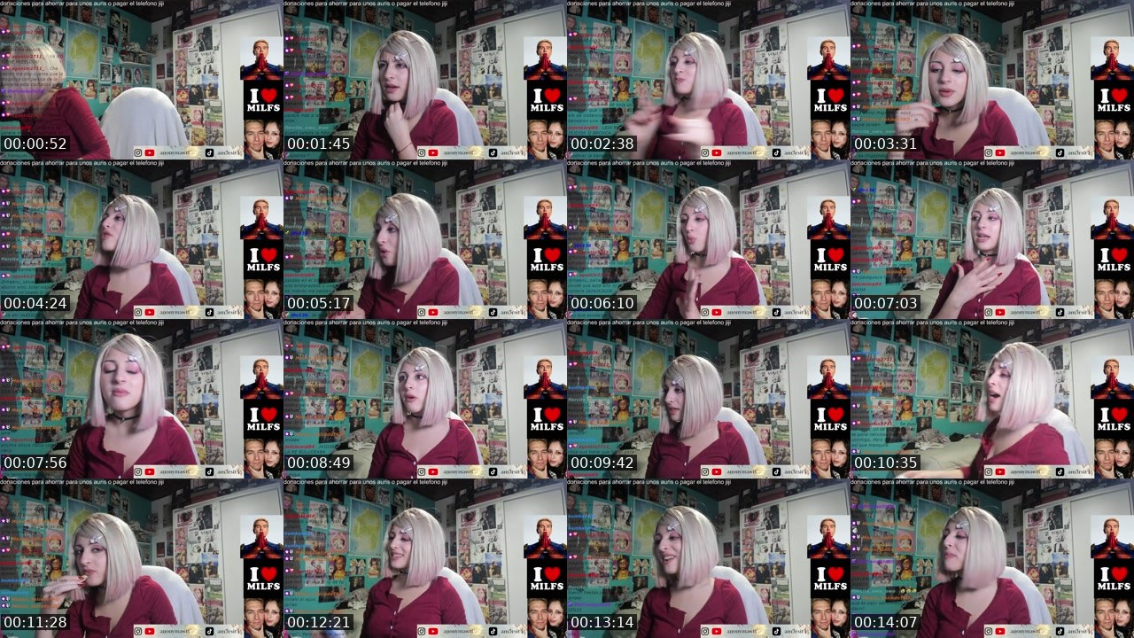 Contact-sheet preview of anonymawtf's Twitch recording