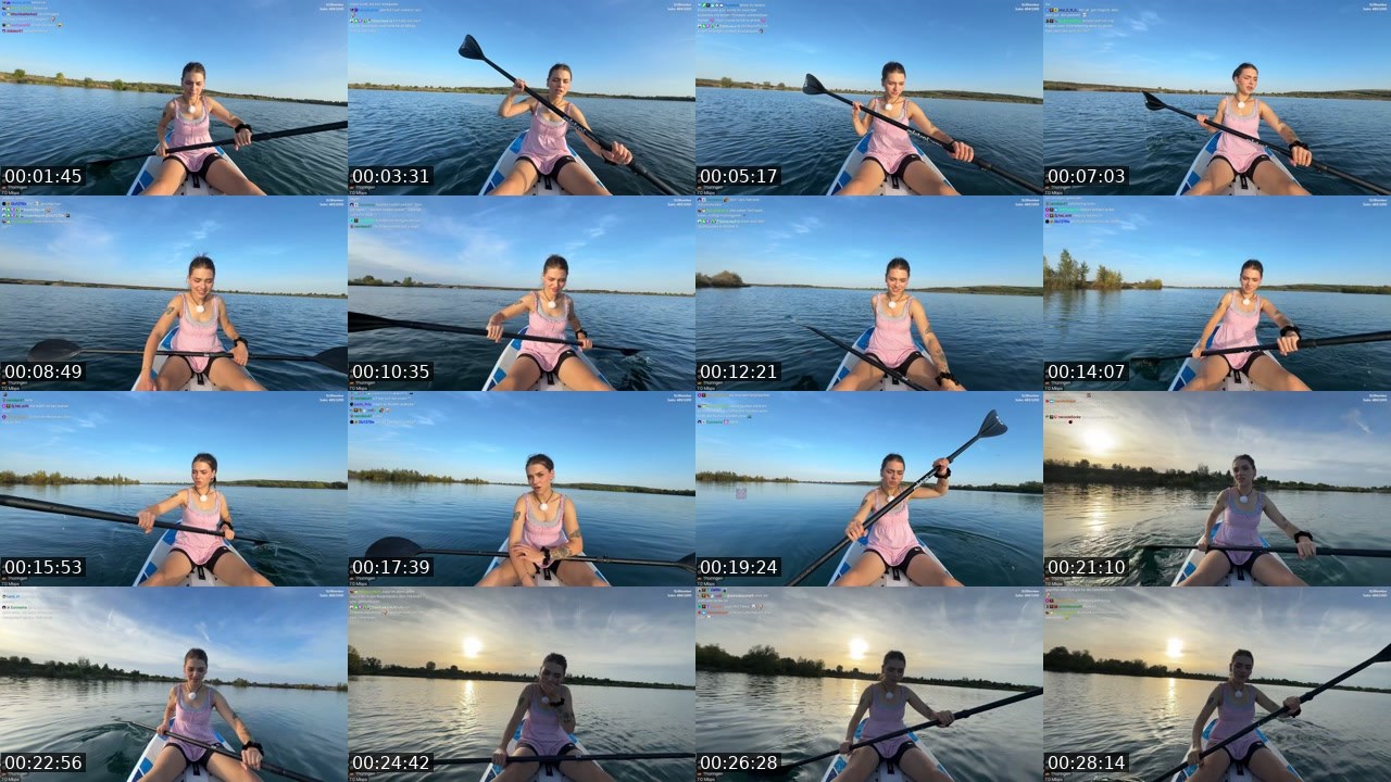 Contact-sheet preview of schiddii's Twitch recording