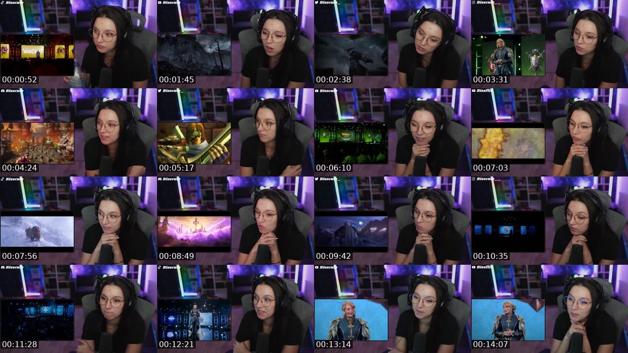 Contact-sheet preview of Bisscute's Twitch recording