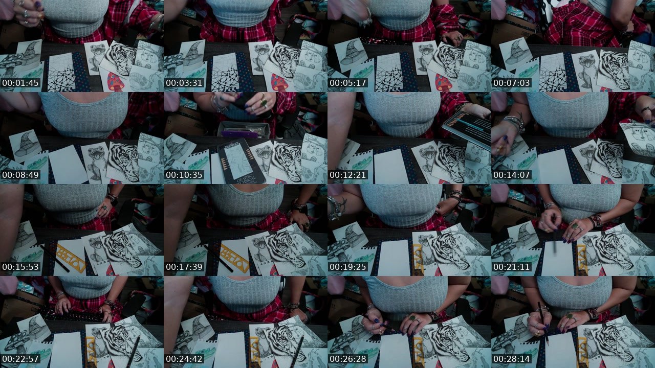 Contact-sheet preview of MaryMoo71327's Twitch recording