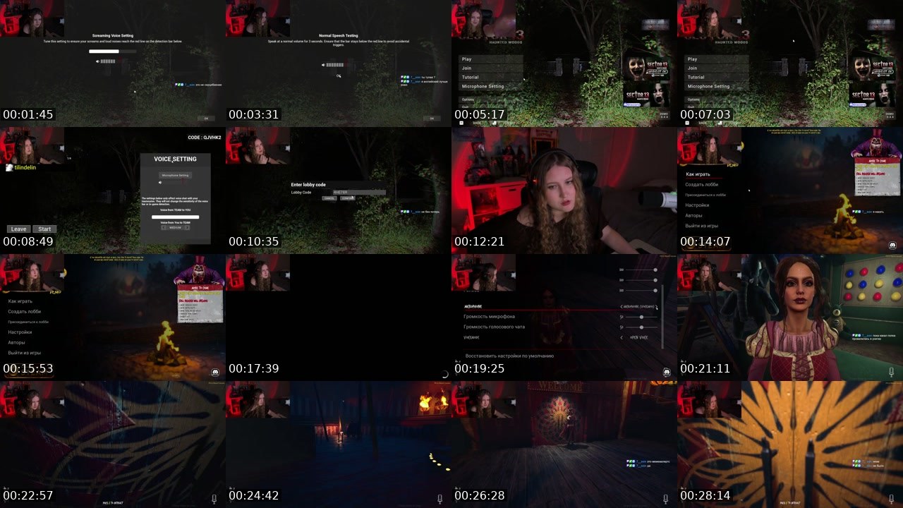 Contact-sheet preview of tilindelin's Twitch recording