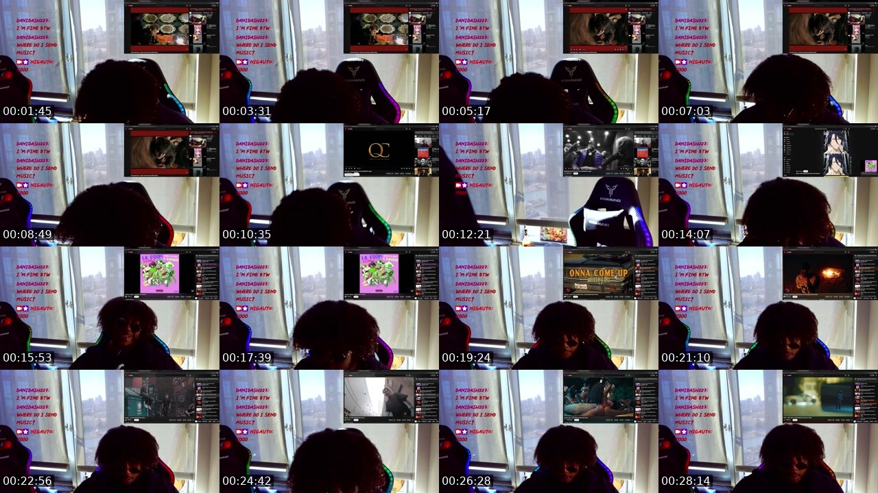 Contact-sheet preview of Nigaut0's Twitch recording
