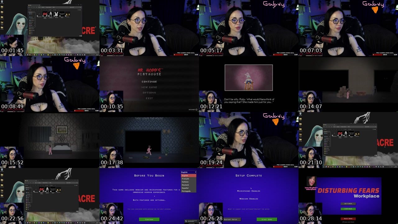 Contact-sheet preview of ImNikklePickle's Twitch recording