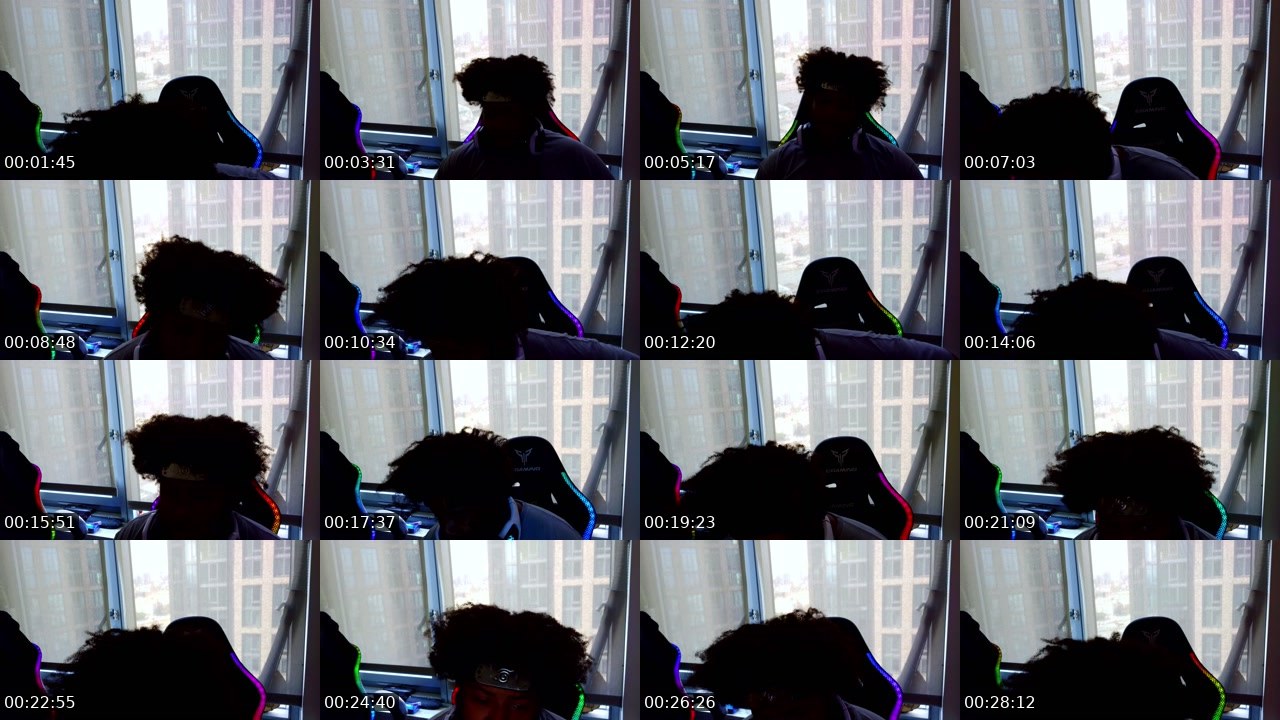 Contact-sheet preview of Nigaut0's Twitch recording
