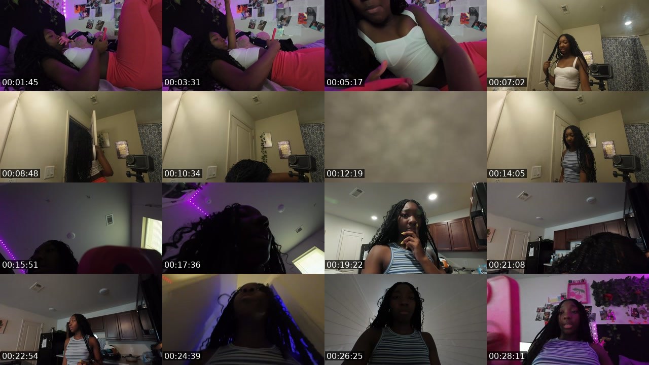 Contact-sheet preview of l3auna's Twitch recording