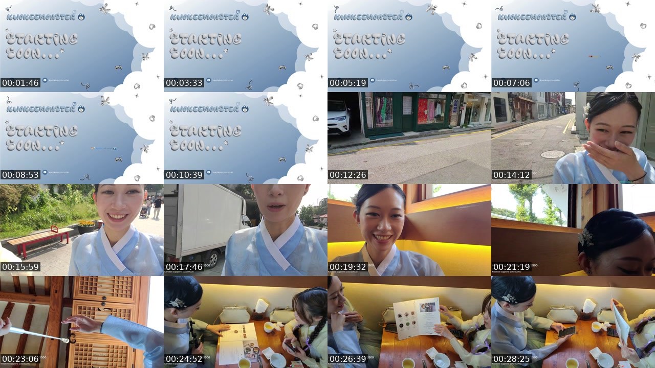 Contact-sheet preview of Kwokeemonster's Twitch recording