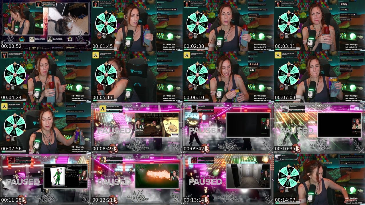 Contact-sheet preview of TerranRogue's Twitch recording