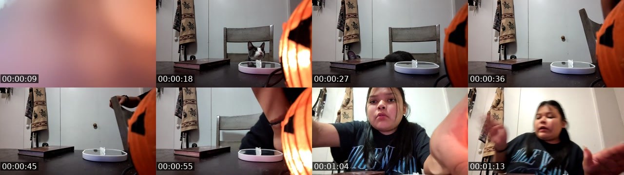 Contact-sheet preview of g59lillianna's Twitch recording