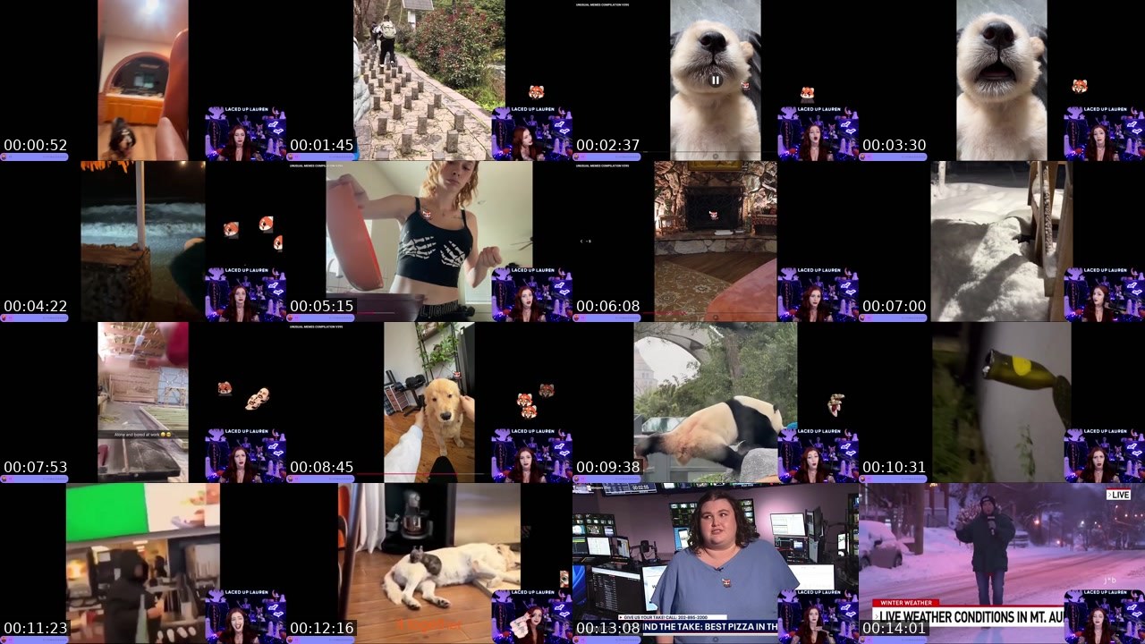 Contact-sheet preview of LacedUpLauren's Twitch recording