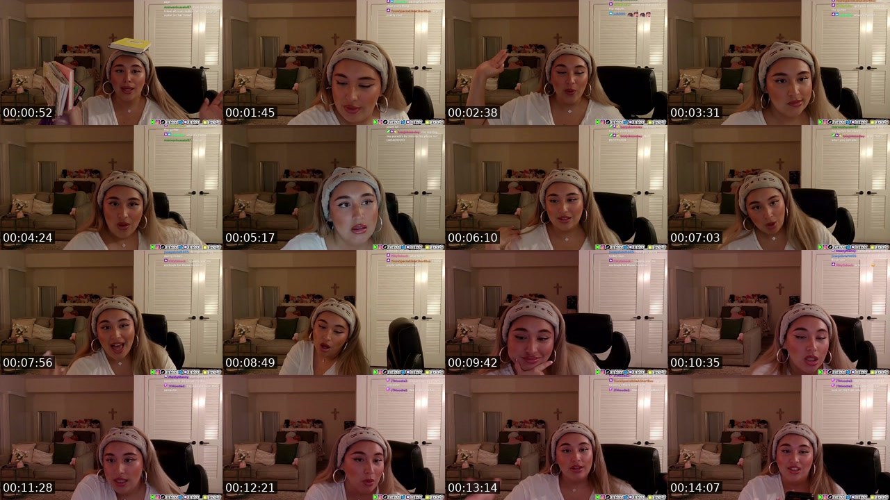 Contact-sheet preview of 11espi_'s Twitch recording