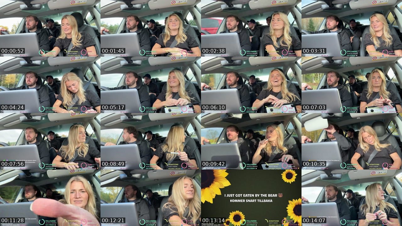 Contact-sheet preview of SWE_Beforewefall's Twitch recording