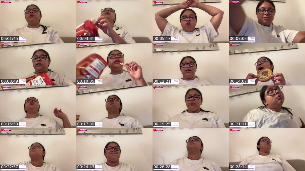 Contact-sheet preview of rasika__gupta's Twitch recording