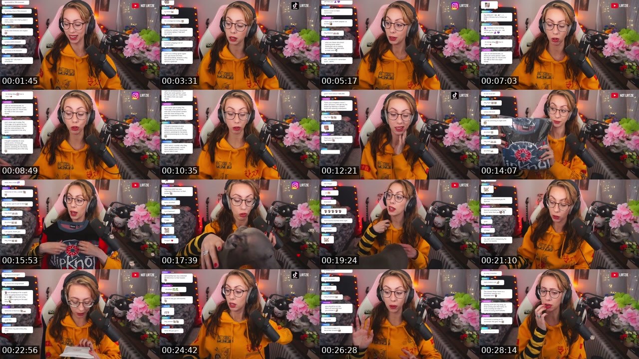 Contact-sheet preview of Lirtzie's Twitch recording