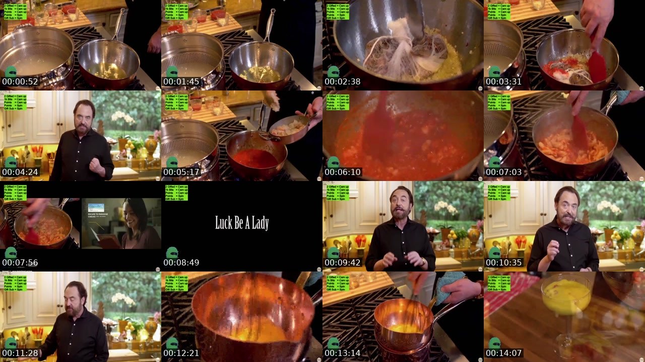 Contact-sheet preview of MisterPhotographer's Twitch recording