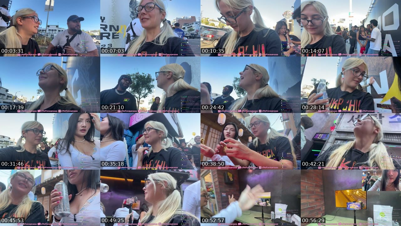 Contact-sheet preview of chelseayea's Twitch recording