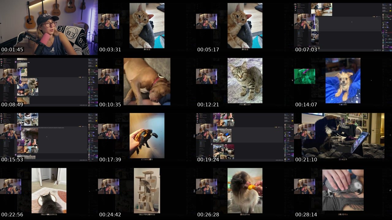 Contact-sheet preview of SquidLaughLove's Twitch recording