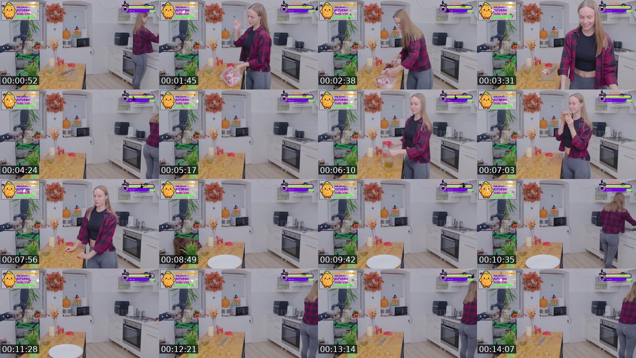 Contact-sheet preview of Gavrilka's Twitch recording
