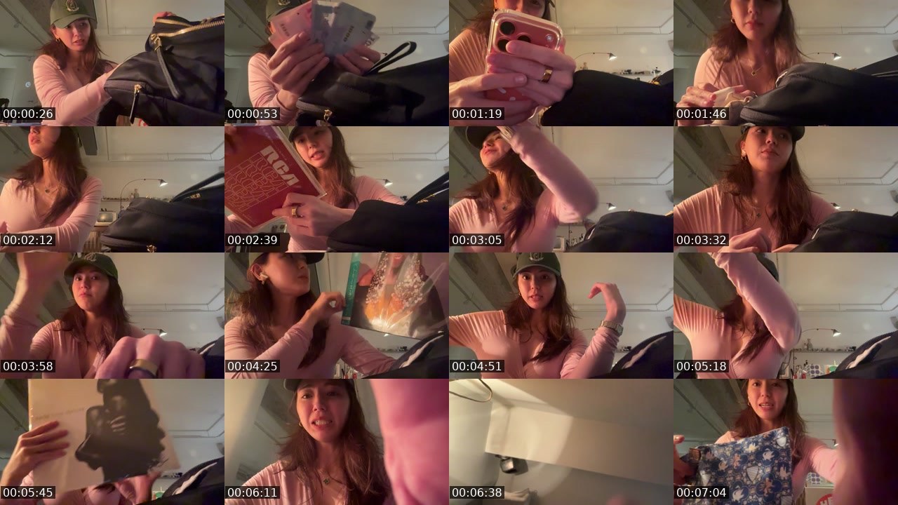 Contact-sheet preview of WithinLUXE's Twitch recording