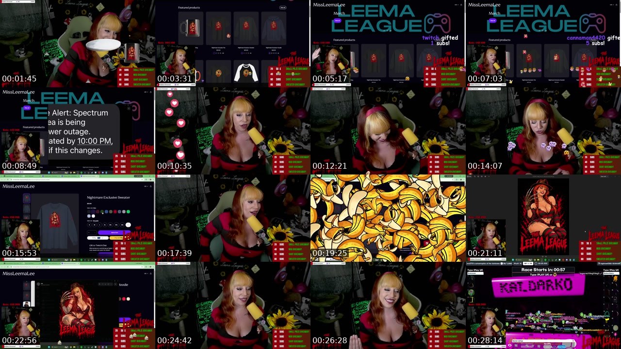 Contact-sheet preview of MissLeemaLee's Twitch recording