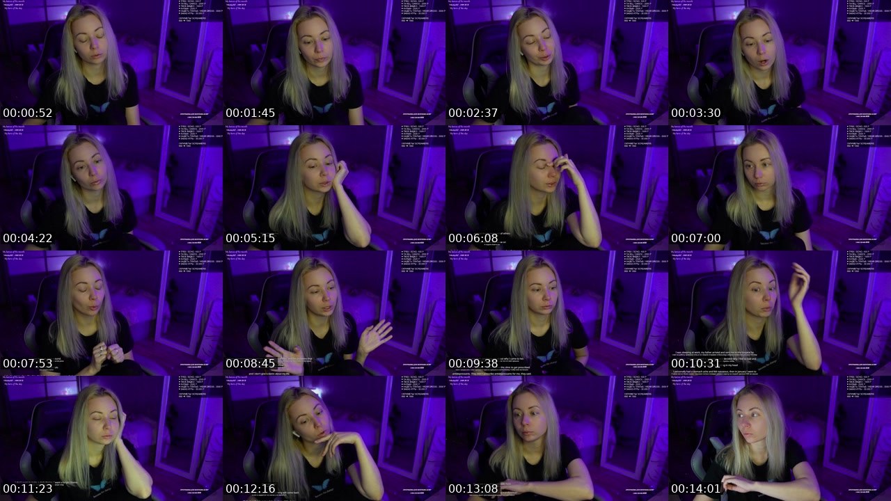 Contact-sheet preview of LEOPARTONE's Twitch recording