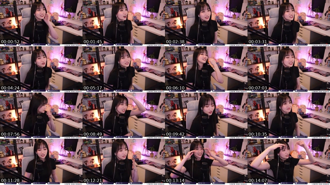 Contact-sheet preview of Wonni's Twitch recording