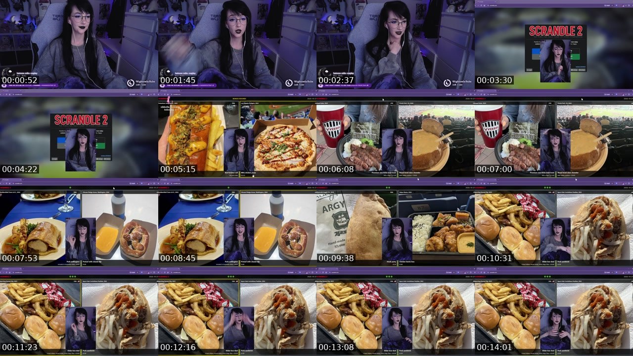 Contact-sheet preview of nananightray's Twitch recording