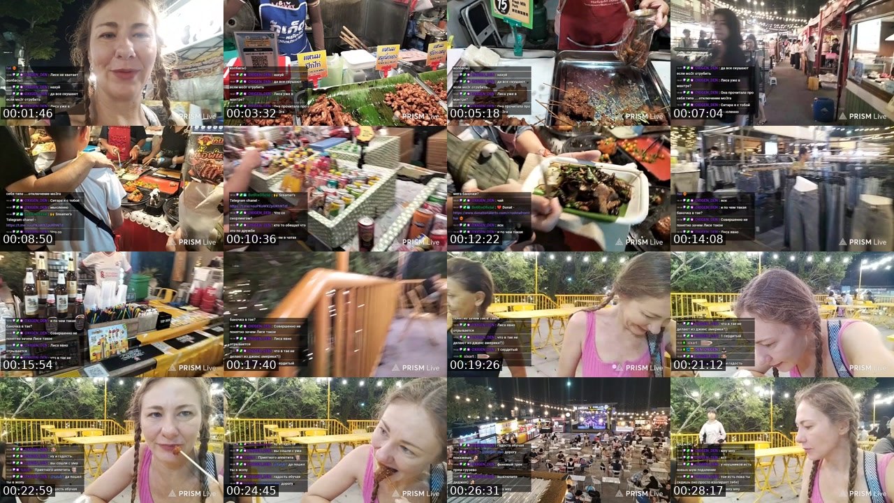 Contact-sheet preview of rodinafromthai's Twitch recording