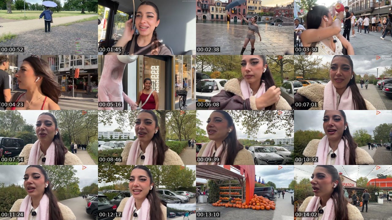 Contact-sheet preview of Naschiitaschii's Twitch recording
