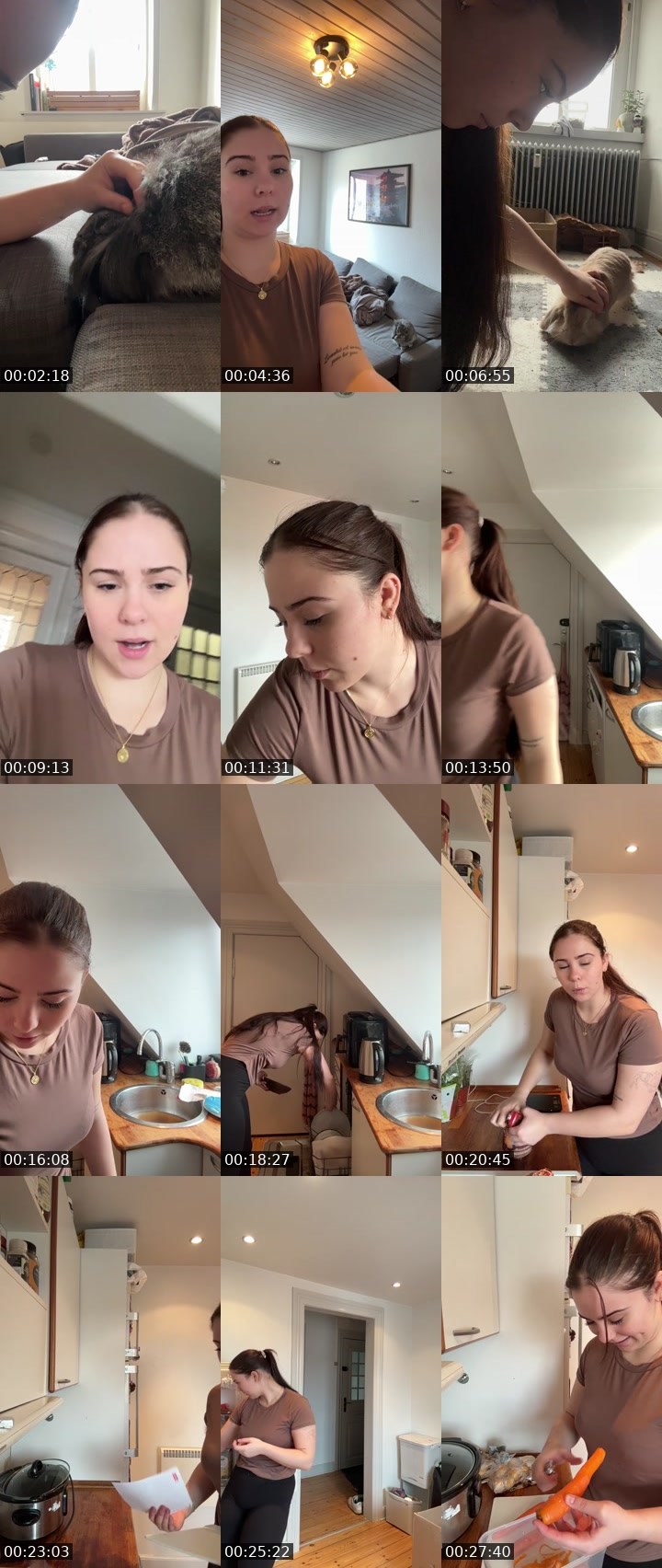 Contact-sheet preview of chickshnitty's Twitch recording