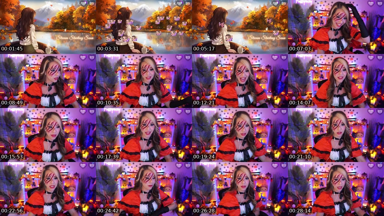 Contact-sheet preview of Fuzhpuzy's Twitch recording