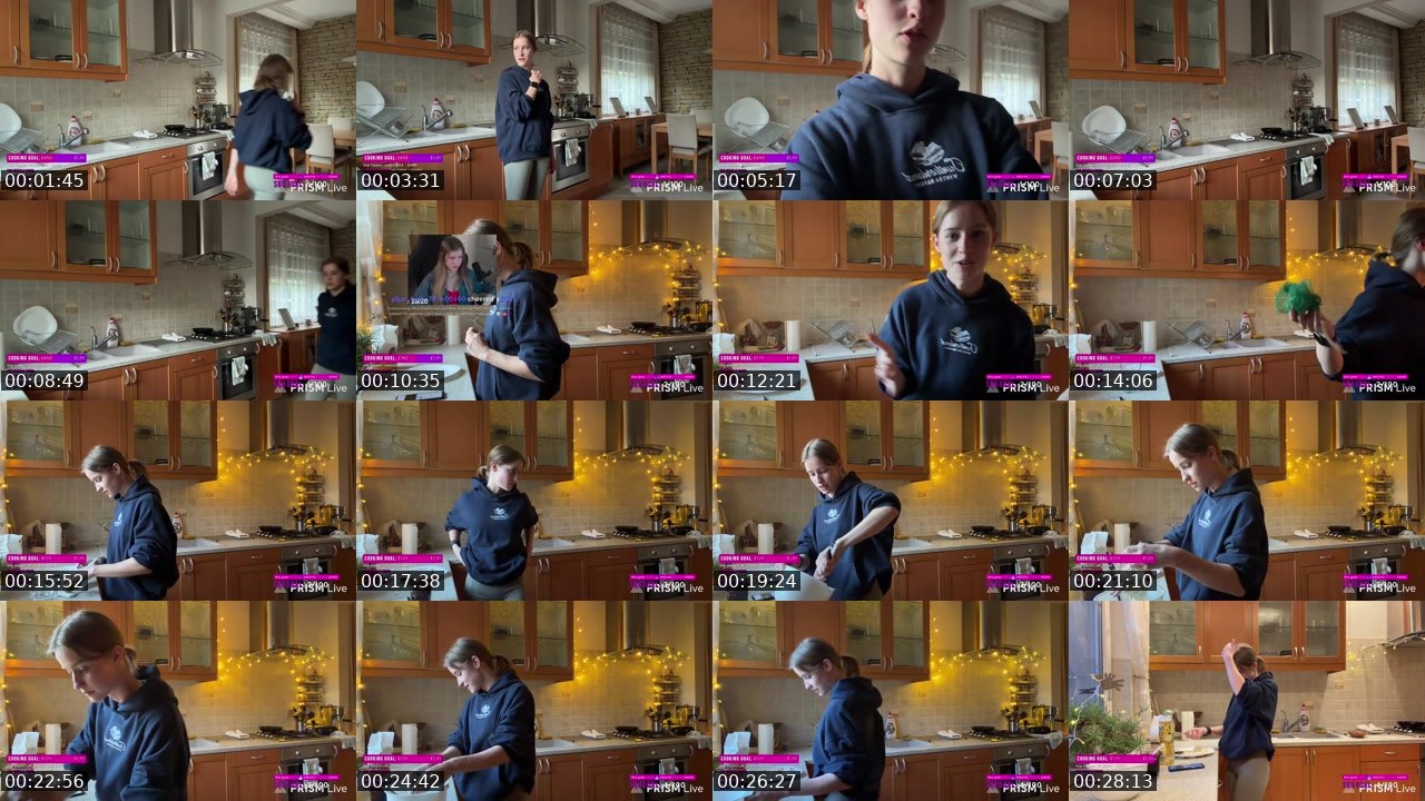 Contact-sheet preview of mira004's Twitch recording