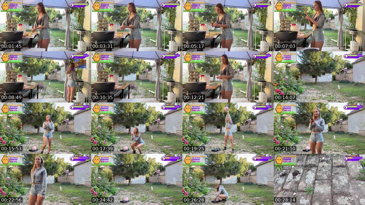 Contact-sheet preview of Gavrilka's Twitch recording